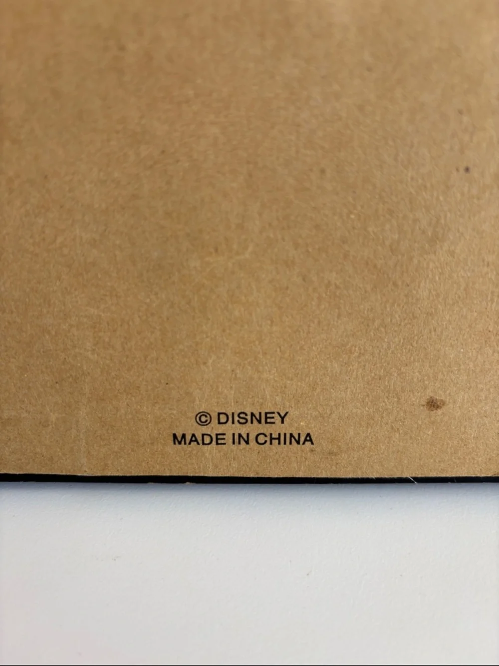 Disney Cinderella Castle‎ lithograph print that includes four collectible pins